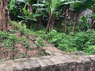 Lô đất đẹp nhất nhì giá rẻ tại đại yên-chương mỹ - diện tích:67,6m2 full thổ cư 3