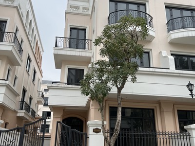 Bán Tứ Lập Hải Âu 120m2 Rộng rãi  VIP nhất Vinhomes Ocean Park 2 1