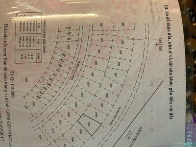 Đất đẹp - giá tốt - chính chủ kẹt tiền cần bán lô đất biệt thự 208.5m2 tại phú hữu, quận 9 2