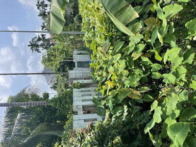 Chính chủ bán 200m2 đất trống đồng mai - đầu tư hoặc để ở đều tuyệt 0