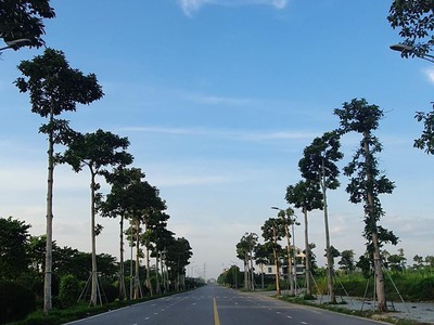 Đất Thanh Hà cienco 5 giá rẻ vị trí đẹp 1