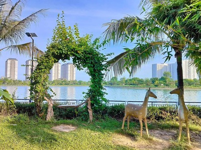 Đất Thanh Hà cienco 5 giá rẻ vị trí đẹp 2