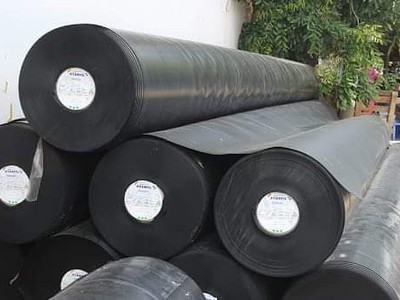 Giảm giá đặc biệt đến 50 cho lô bạt 0