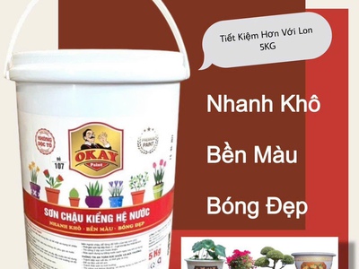 Sơn chậu, sơn hệ nước Okay 2