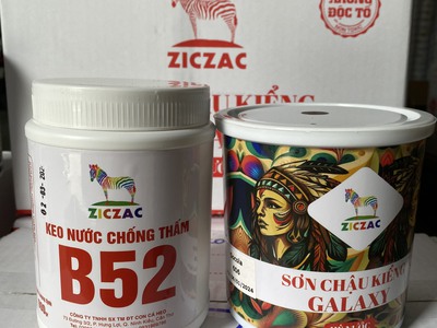 Sơn Chậu Giá Rẻ Galaxy 1