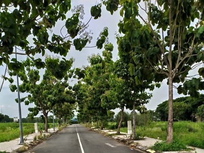 Bán nền đất Cát Lái, DT 5x21.9, sổ đỏ, giá chỉ 52 triệu/m2 0