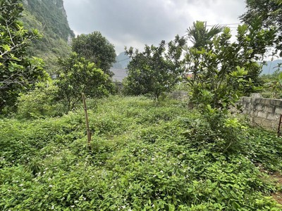 Chuyển nhượng 2 thửa x158,8m2 full thổ cư, mặt tiền 15m x 2 xã thanh sơn, lương sơn, hoà bình 1