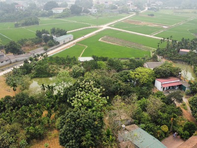 Cần bán đất dịch vụ đồng trà, phú nghĩa.chỉ hơn 2 tỷ xíu - diện tích 65m. mặt tiền   hậu 4.33m - đã 1