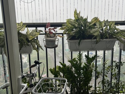 Cần bán nhanh căn hộ 78m toà HH01C Kđt Thanh Hà Cienco 5 5