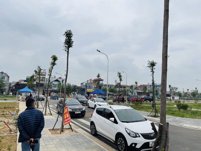 Chỉ 1 lô duy nhất đấu giá x6 hà lỗ lô góc 4