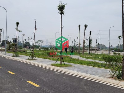 Chỉ 1 lô duy nhất đấu giá x6 hà lỗ lô góc 3