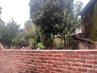 Chính chủ cần bán lô góc 60m2 thôn phượng đồng, phụng châu, chương mỹ 0