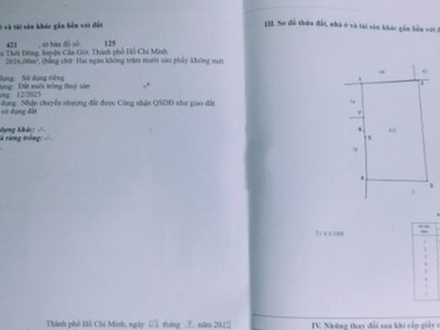 Bán gấp lô đất mặt tiền 2016m2 tại xã An Thới Đông, huyện Cần Giờ 0