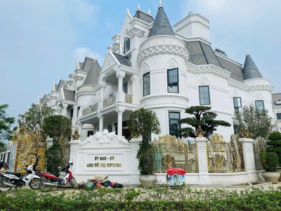 Siêu hiếm, biệt thự tây nam linh đàm: 250m2, 4t, mt10m, view công viên, 30.5 tỷ 3