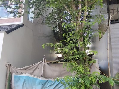 Bán đất phường phú hữu, q9 thành phố thủ đức 3