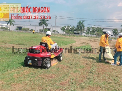 Báo giá Dịch vụ cắt c.ỏ dại phát hoang mùa khô ở HCM, Đồng Nai, BRVT 1