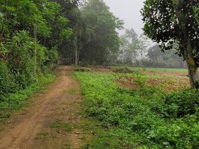 Bán đất chính chủ tại ngọc lặc- thanh hóa 0