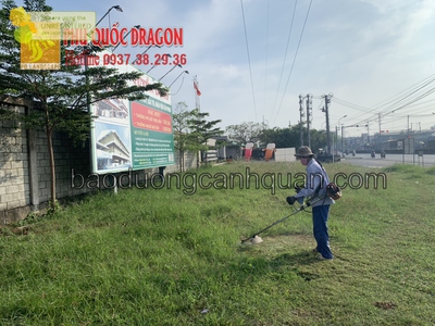 Cắt c.ỏ phát hoang c.ỏ dại giá tốt ở Đồng Nai, HCM, Long An 2