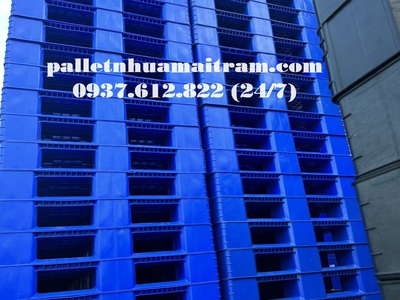 Đại lý phân phối pallet nhựa cũ tại Bình Thuận 9
