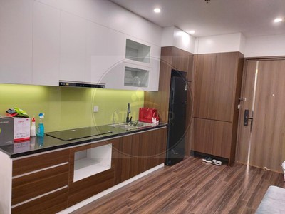 Cho thuê căn hộ 2 ngủ full đồ ,mới tinh Hoàng Huy Commerce , Vĩnh Niệm , Lê Chân 3