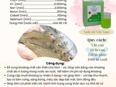 Khoáng mặn thiên nhiên Super Natural - Sea Mineral 1