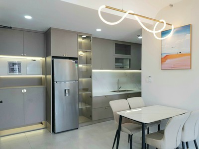 Căn hộ cao cấp The Antonia Phú Mỹ Hưng 1