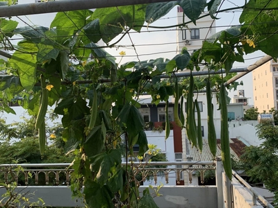 Hiếm - Nhà 2 Tầng 100m2 - Mặt Tiền Mỹ An 12   Nhỉnh 5 Tỷ - Đường 5m5   Lề 4m 0