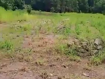 Bán đất sổ riêng giá rẻ tại vĩnh linh, quàng trị 0