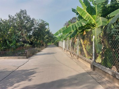 Chính chủ cho thuê đất vườn Bình Nhâm 26, P. Bình Nhâm, TP Thuận An, Bình Dương. 1