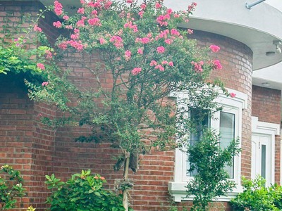 Bán gấp BT biển rộng 464m2 tại biển Xuân Thành, Hà Tĩnh giá chỉ 19.4tr/m2 hoàn thiện full nội thất 0