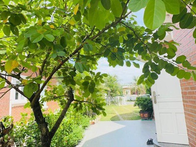 Bán gấp BT biển rộng 464m2 tại biển Xuân Thành, Hà Tĩnh giá chỉ 19.4tr/m2 hoàn thiện full nội thất 2