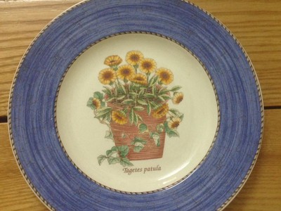 Đĩa sứ chậu hoa vàng hiêu Wedgwood, Sarah s Garden, Queen s ware Made in England, 1997, đk 21cm, giá 0