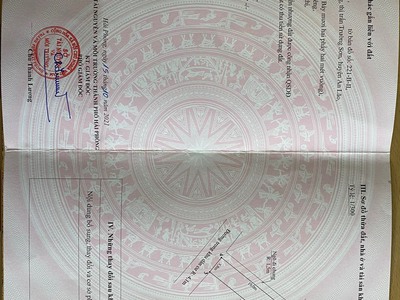 Em cần bán căn nhà tại xuân áng, trường sơn, an lão, hải phòng. 0