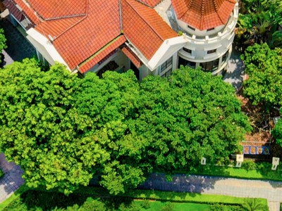 Đơn lập 638m2 ciputra, lô góc mặt đường nguyễn văn huyên. mt 47m - 205 tỷ. 0