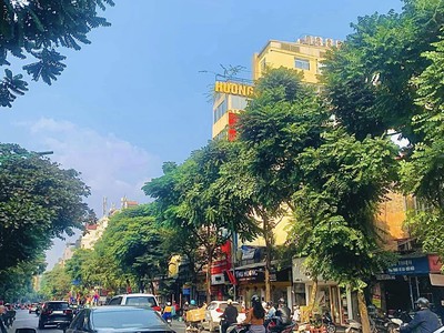 Bán sim vip tứ 6 Viettel đẹp. 496