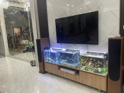 Bán sim vip tứ 6 Viettel đẹp. 218