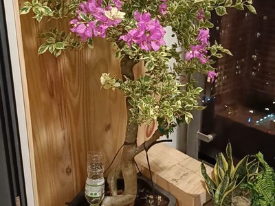 Vinhomes grand parktổng hợp giỏ hàng cuối tháng em có 3