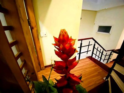 Bán sim vip tứ 6 Viettel đẹp. 681
