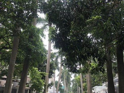 Bán sim vip tứ 6 Viettel đẹp. 19