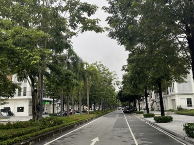 Bán sim vip tứ 6 Viettel đẹp. 1825