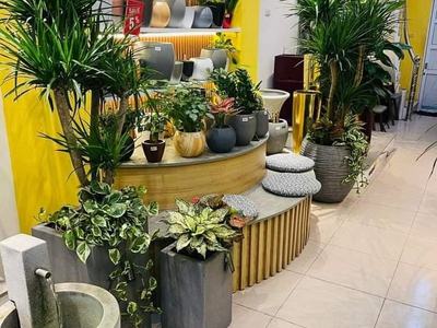 Bán sim vip tứ 6 Viettel đẹp. 2868