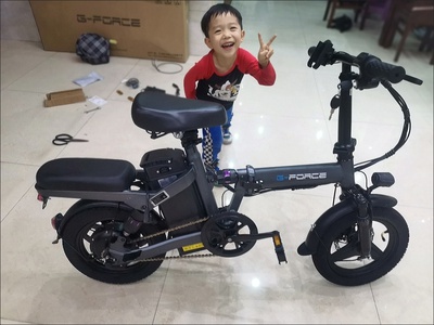 Xe điện gấp gọn G-FORCE D14 màu ghi xám khung Hợp kim thép 2