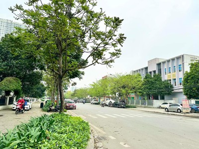 Bán sim vip tứ 6 Viettel đẹp. 2235