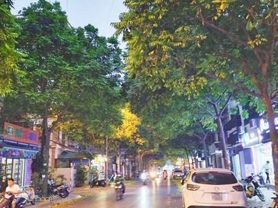 Bán sim vip tứ 6 Viettel đẹp. 1336