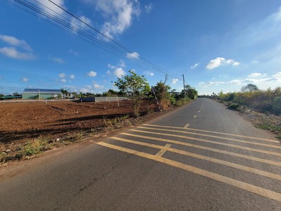 Bán sim vip tứ 6 Viettel đẹp. 1932