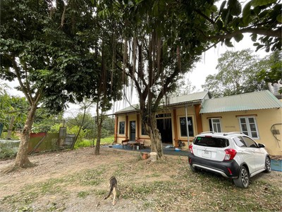 Chính chủ cần cho thuê trang trại tại xã tam hưng - huyện thanh oai - tp hà nội. 4