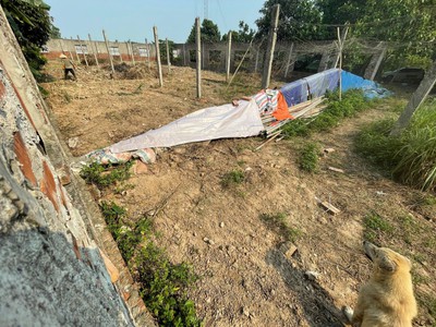 Chính chủ cần cho thuê trang trại tại xã tam hưng - huyện thanh oai - tp hà nội. 2