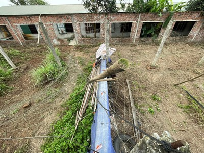 Chính chủ cần cho thuê trang trại tại xã tam hưng - huyện thanh oai - tp hà nội. 0