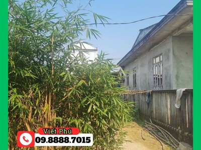 Sở hữu mảnh đất mặt tiền tại xóm 2 vân dương - chỉ cách đường đi bộ sông như ý 300m 0