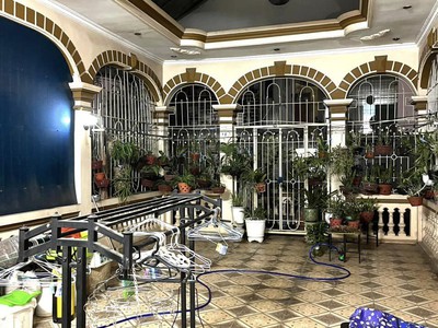Bán sim vip tứ 6 Viettel đẹp. 5653